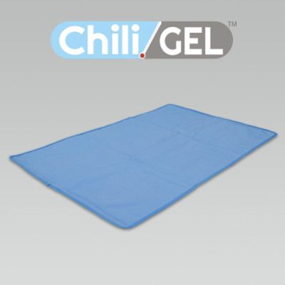 air purifier and humidifier in one