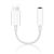 Travel Easy Lightning to 3.5 mm Headphone Jack Adapter