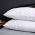 Dreamaker Waterproof Cotton Terry Towelling Pillow Protector Twin Pack