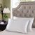 Luxurious Mulberry Silk Pillowcase - Twin Pack