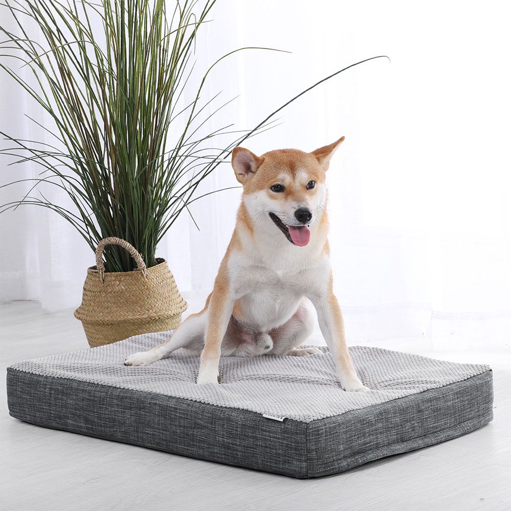 Memory foam for dog crate 2025