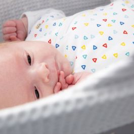 Swaddle online grobag newborn