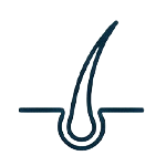 Human Hair Icon