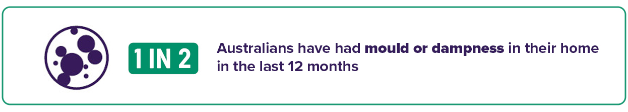 Asthma Week | Manage Mould and Dampness to Prevent Asthma Flare Ups