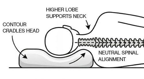 Spinal Alignment 1
