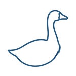 Goose Down & Feather