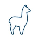 Alpaca