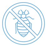 Bed Bugs