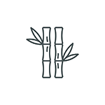 Bamboo