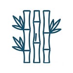 Organic Bamboo