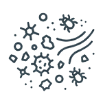 Dust Mites & Allergens