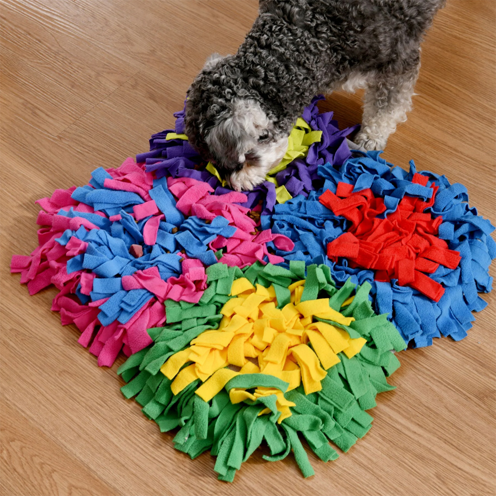 Charlie's Snoofy Snuffle Mat 4Quadrant Multicolour