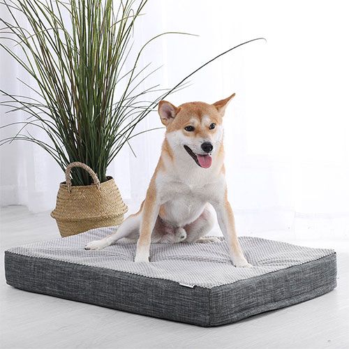 Charlie's Pet Portable Convoluted Foam Dog Crate Mattress