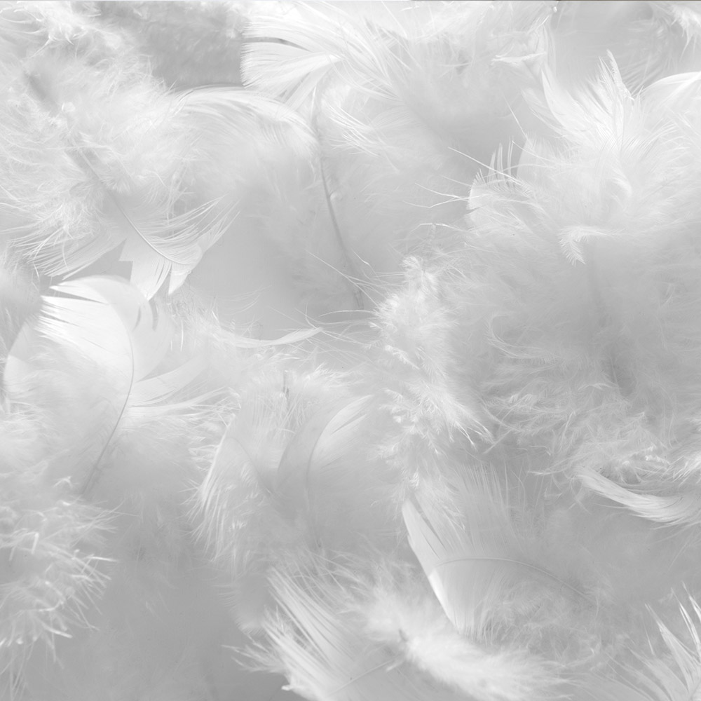 Fairydown 80 White Duck Feather Pillow