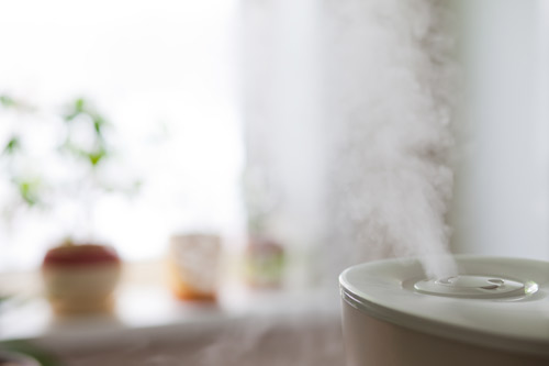 maintaining humidity in air using a humidifier